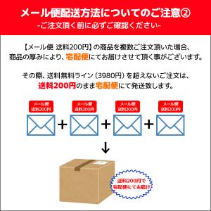 【2枚までメール便可】YG ワイジー Tシャツ...の詳細画像5