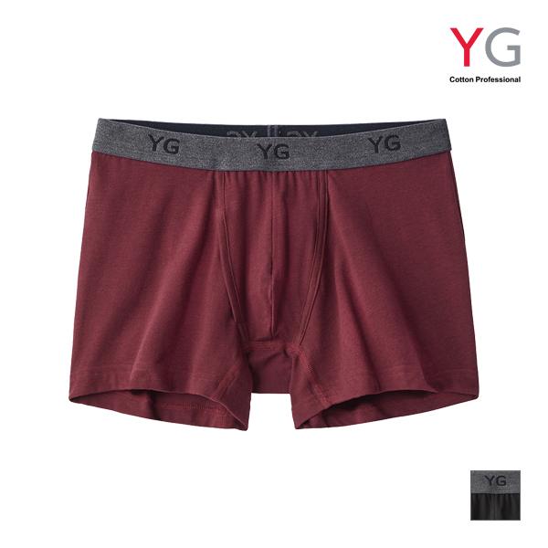 YG ワイジー ボトムス ボクサーブリーフ 前あき パンツ グンゼ GUNZE
