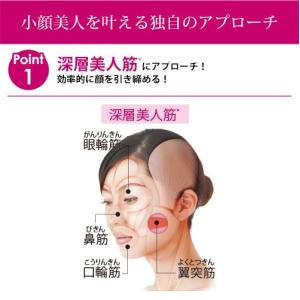 EMS 美顔器 リフト ケア アップ マイクロ...の詳細画像4