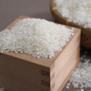 元気つくし [ 20kg (5kg×4袋) ] 令和7年産 福岡県産 農家直送 送料無料