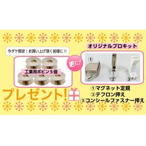DB針仕様 ミシン 本体 初心者 安い 売れ筋...の詳細画像4