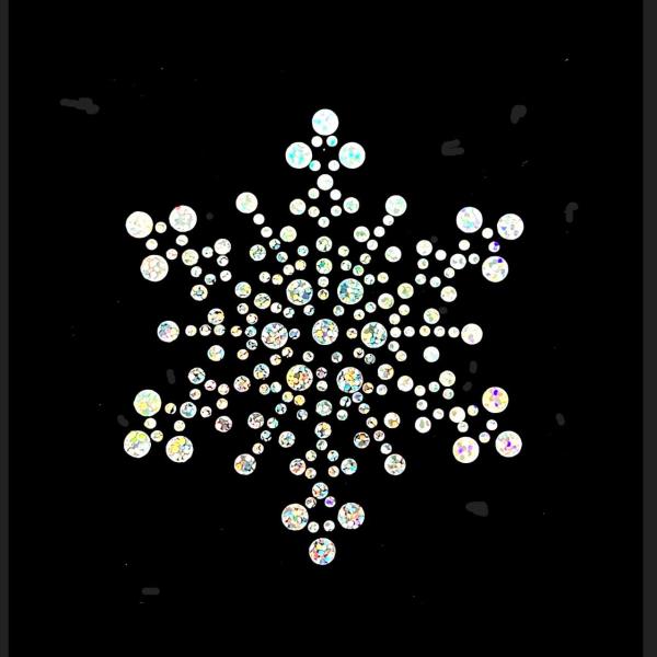 【スパングル】 雪の結晶デザイン Snow crystal スパンコールモチーフ アイロン接着 ys...