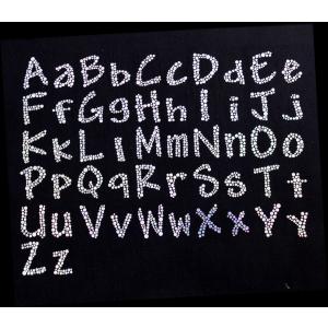 【英:大・小文字組合せ自由 オリジナル文字列で...の詳細画像1