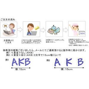 【英:大・小文字組合せ自由 オリジナル文字列で...の詳細画像2
