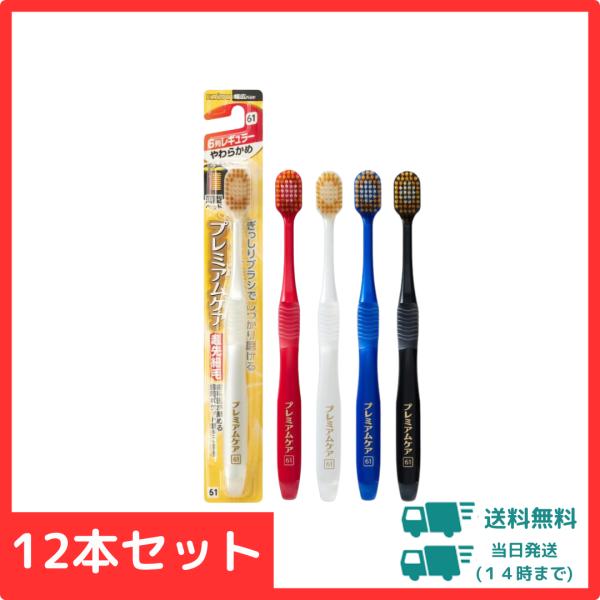 【12本セット】6列レギュラー やわらかめ エビス プレミアム ケアハブラシ
