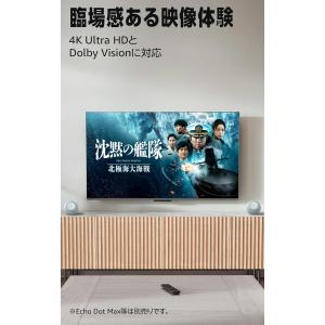 Amazon Fire TV Stick 4K...の詳細画像3
