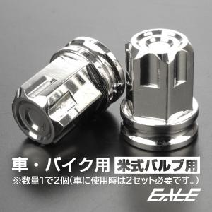 タイヤバルブキャップ エアバルブキャップ ステンレス製 カットデザイン 汎用 シルバー TH0517｜moto-eale