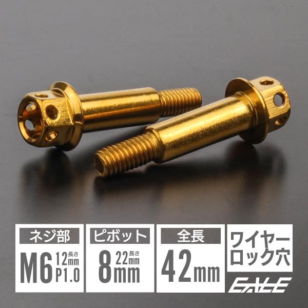 ピボットボルト M6 P1.0 ピボット径8mm バイクレバー 取付用 ステンレス ワイヤーロック穴...