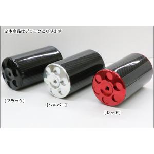 BEET（ビート） ポイントカバー 左右セット（ブラック）/XJR400 0401