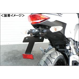 BEET フェンダーレスKIT/Ninja250（13-） 0612-KB9-00｜moto-jam