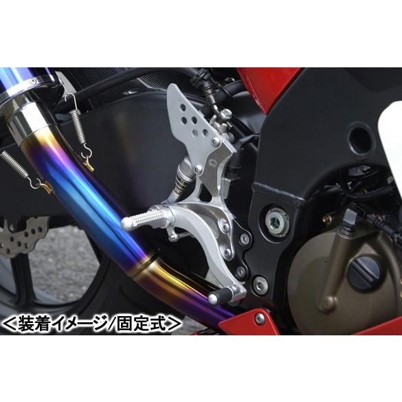 BEET ハイパーバンク（シルバー/固定式）/ZX-10R（04-05） 0111-K80-20