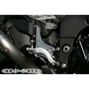 C.F.POSH ステンレスブレードブリーザーホースキット（KAWASAKI-1