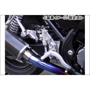 BEET（ビート） スーパーバンク バックステップ ゼファーX KAWASAKI