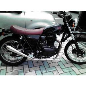 RSY 250TR（FI車） ビューティーメガホンマフラー BEAUT-MG-250TR-1｜moto-jam