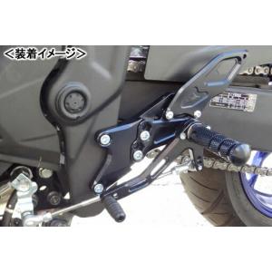 STRIKER スペシャルステップキット 10ポ...の商品画像