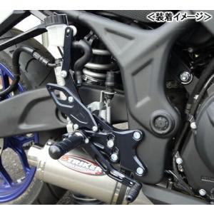 STRIKER スペシャルステップキット 10...の詳細画像1
