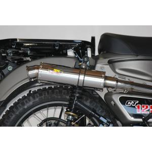 REALIZE 100φ砲弾マフラー（Type-2）/TW225 801-001-01 : バイクパーツ