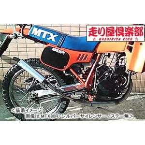 RSY 走り屋倶楽部 タイプ1 （シルバー）サイレント仕様 ステー付属/MTX50R［AD06］ 1...