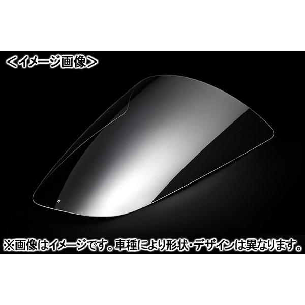 ACRYPOINT RS250R （01-10年） レーシングタイプスクリーン （クリア） 1101...