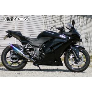 Ninja Realize ニンジャ250R バイクマフラー JBK-EX250K 2008年〜2012