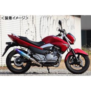 BEET（ビート） BEET GSR250 マフラー NASSERT Evolution Type2