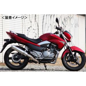 REALIZE（リアライズ） Realize GSR250 バイクマフラー JBK-GJ55D 2012
