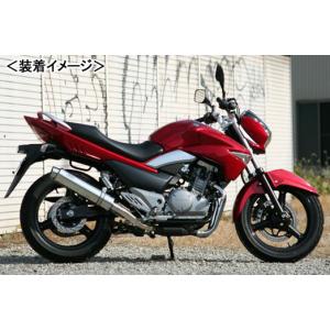 POSH Faith トライアンフタイプマフラー（スリップオン）JMCA適合