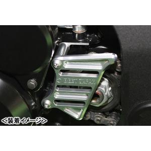 Z900RS ラジエターコアガード BEET ビート BEET（ビート） ラジエターガード カラー：ブラック Z900RS KAWASAKI