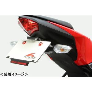 HURRICANE フェンダーレスkit/Ninja250SL HA6642
