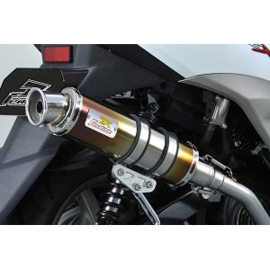 SP武川 サイレントスポーツマフラー/シグナスX 04-02-0048 : バイク