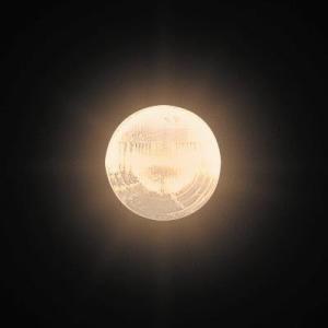 バイクビーム PH-11 12V40/40W (B2・クリア)101  M&amp;H マツシマ 101B2...