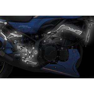 DOREMI COLLECTION Z900RS フレームプラグ M(フレーム中間部