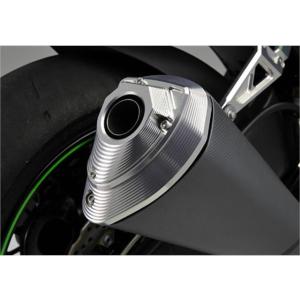 アグラス マフラーエンドキャップ ZX-10R 10 (403-483-000)