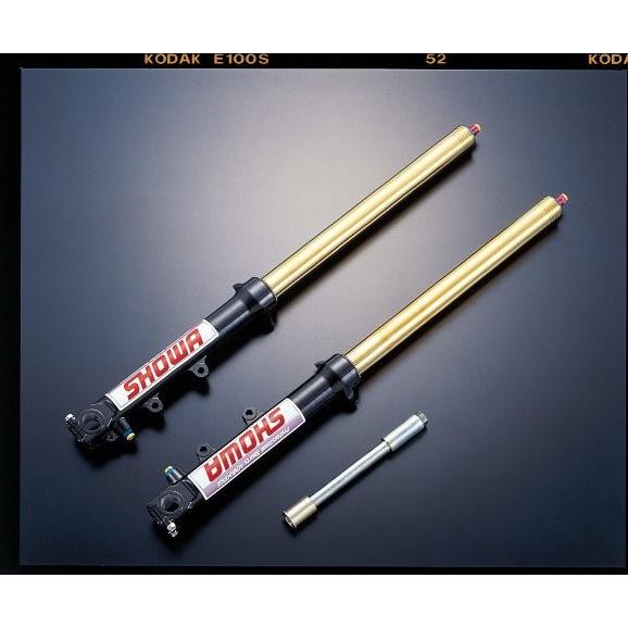 ADVANTAGE  SHOWA ショウワ スペシャル・リヤショックスプリング Type-1T 汎用...