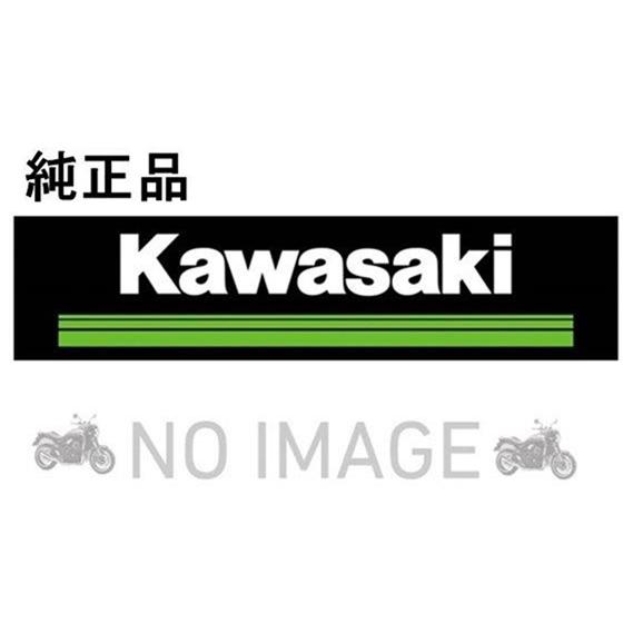 KAWASAKI カワサキ純正部品 ハウジングアツシ(コントロ-ル),RH