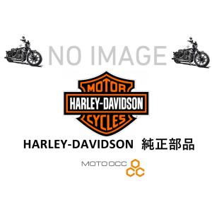 HARLEY-DAVIDSON ハーレーダビッドソン純正部品 LUGGAGE RACK BLACK FXSB 50300116 50300116｜MOTO-OCC ヤフーショッピング店