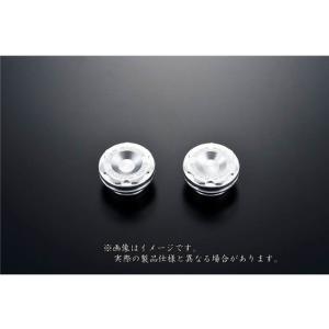 OVER オーヴァーレーシング ピボットホールプラグ SIL ZX-25R(20-22)(23-)/...
