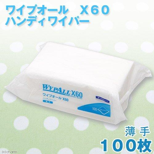 ペーパーウエス 使い捨て紙ウエス 日本製紙 クレシア ワイプオール X60 ハンディワイパー 605...