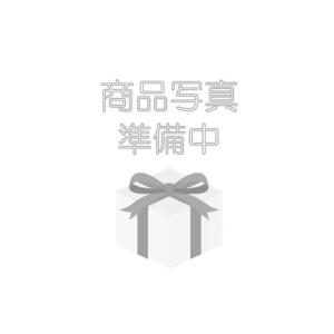 要納期確認 PMC ピーエムシー DRAFT S=95:ADP付Frブレーキキット Z1(S) マス...