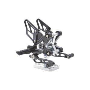 r's gear アールズギア  アクティブスポーツ レーシングコンセプト　ZX-25R ライディン...