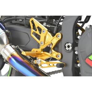 ZX-25Rr’s gear アクティブスポーツ レーシングコンセプト ライディングステップ オレン...