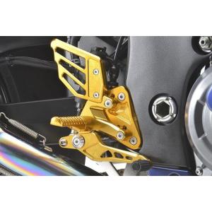 Hayabusa（21-） r’s gear アクティブスポーツ レーシングコンセプト ライディング...