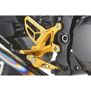 Z900RS r’s gear アクティブスポーツ レーシングコンセプト ライディングステップ オレ...