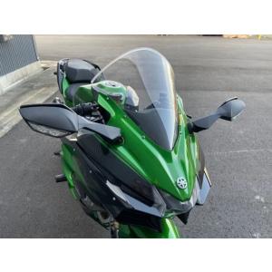 ACRY-Point アクリポイント Ninja H2SX/SE 18-20 クリアスクリーン スト...