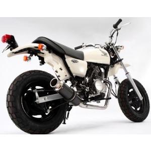 APE100 BC-HC07 マフラー フルエキゾースト  SS300カーボン ダウンタイプ BEAMS ビームス B115-08-000｜moto-occ