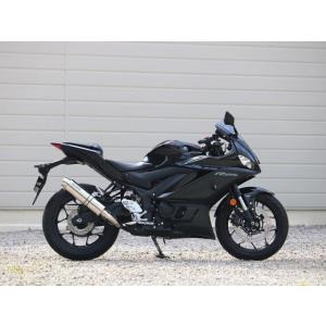 WR’S ダブルアールズ YAMAHA ヤマハ YZF-R25/MT-25 (22-) スリップオン...