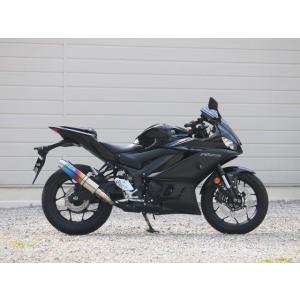 WR’S ダブルアールズ YAMAHA ヤマハ YZF-R25/MT-25 (22-) スリップオン...