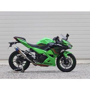 WR’S マフラー／Ninja250／スリップオンマフラー Ninja250（ニンジャ） - マフラー - WR'S（ダブルアールズ