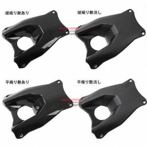 SPEEDRA（スピードラ） KAWASAKI ZX-25R 2020-2021 リアフェンダー