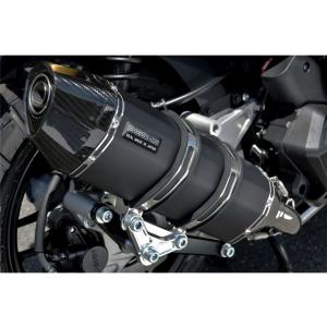 サチオ カワサキ バイク用 タッチアップペイント カワサキ バリオス